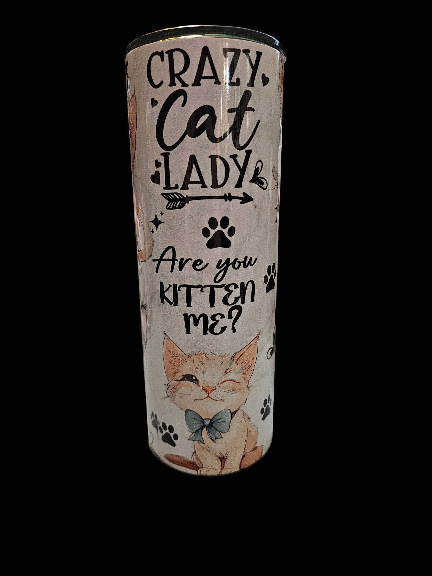 Crazy Cat Lady 20oz Stainless Steel