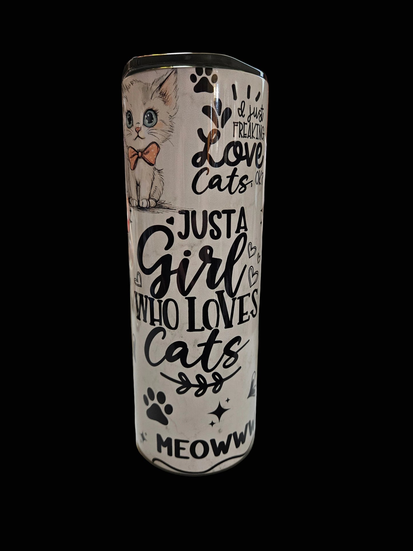 Crazy Cat Lady 20oz Stainless Steel