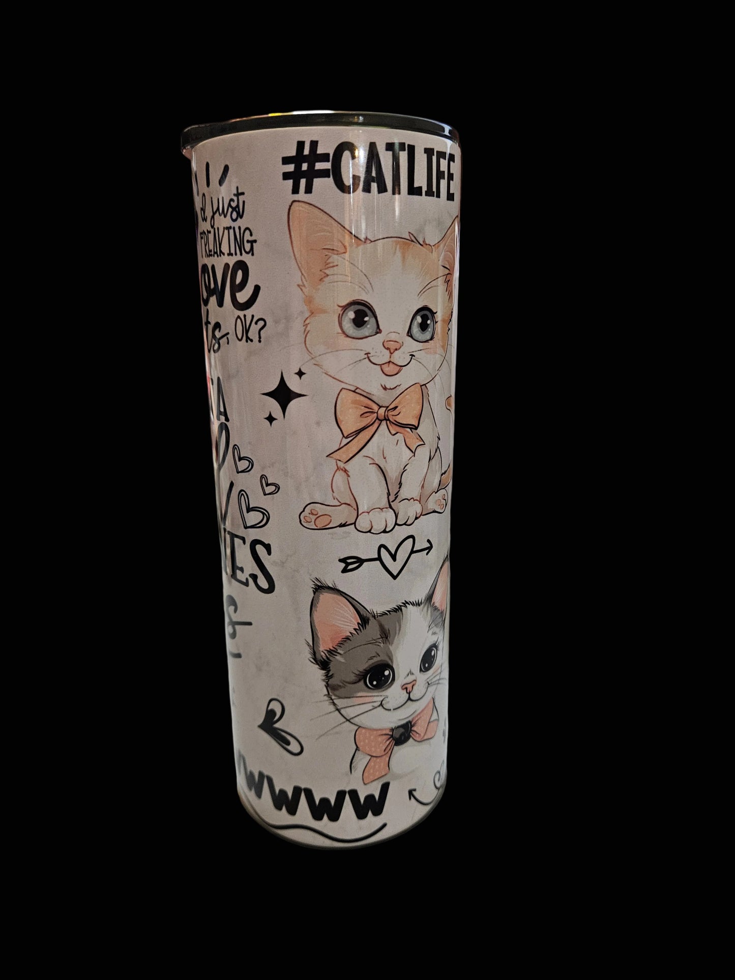 Crazy Cat Lady 20oz Stainless Steel